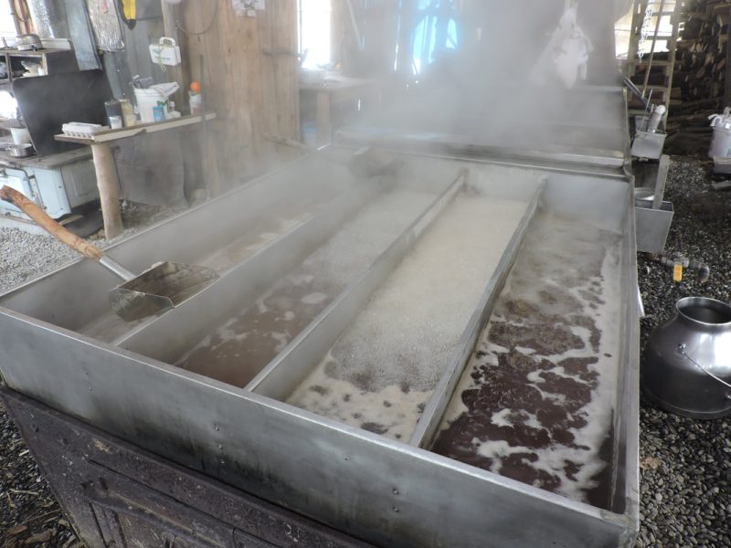 sugarSteam