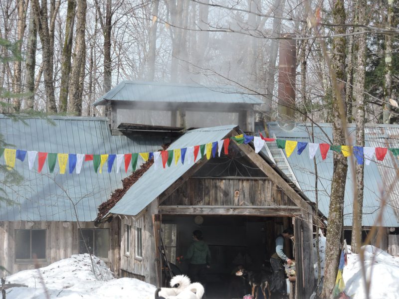 wheelockSugarHouse